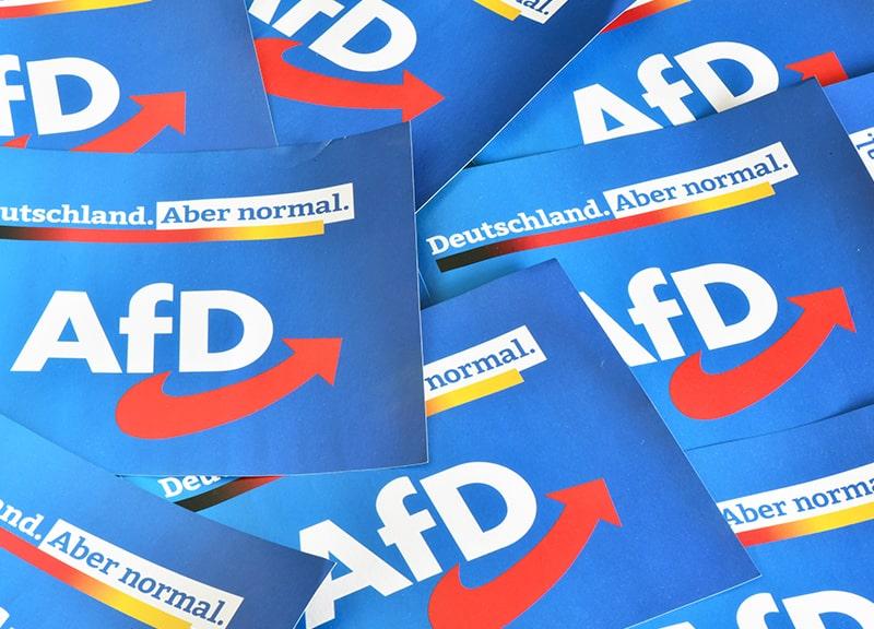 AfD Protests