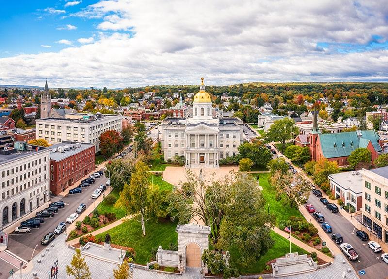 New Hampshire Primary